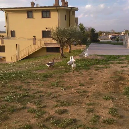 Wendy * Guidonia